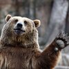 Антон Потапенко